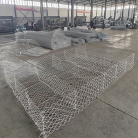 Grillage Gabion en fil de fer galvanisé, cage hexagonale sur mesure 100x120mm, anticorrosion, durable, pour murs de soutènement de rive