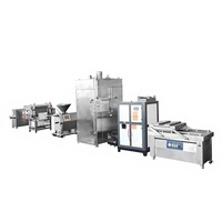 Ligne de production automatique industrielle de saucisses |   Remplisseuse et connectrice sous vide 500 kg/h |   Équipement de transformation de la viande certifié CE