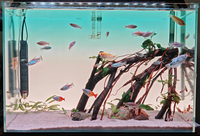 Éclairage LED pour aquarium Edgelight 100*50cm ultra-fin, série RGB, plaque de guidage de lumière pour aquarium, aluminium + acrylique, dimmable