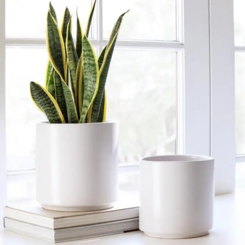 Dekorasi Taman Rumah Indoor Outdoor Succulent Bunga Hijau Tanaman Pot Matte Putih Keramik Besar Pot Planter