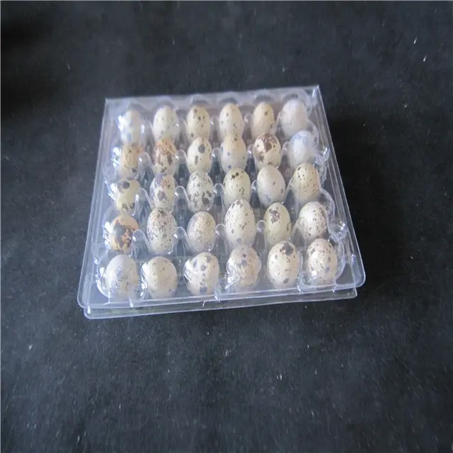 Bandeja de plástico para embalaje de huevos de codorniz, 6, 12, 18 y 30 cavidades