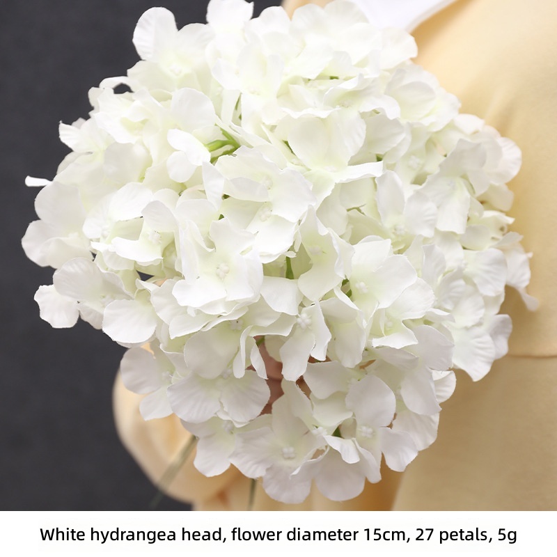 Tête d'hortensia