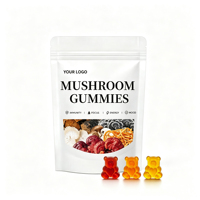 OEM ODM Private Label Mushroom Gummies Vegan Sugar Free Herbal Energy Supplement for Adults Daily Energy Support