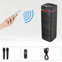 Haut-parleur intelligent double de 12 pouces haute puissance, caisson de basses stéréo portable multifonctionnel, compatible karaoké pour la maison et les fêtes en extérieur