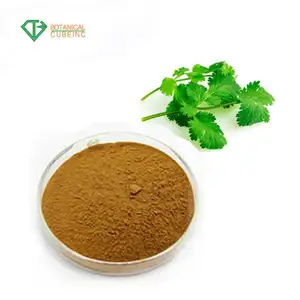 Extracto de semillas de cilantro natural puro, extracto de cilantro seco en polvo, extracto de Coriandrum Sativum
