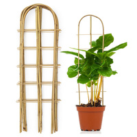 Piquets en treillis en U en bambou pour plantes-Support de jardin naturel pour fleurs grimpantes, vignes, légumes (10/20/50 paquets)