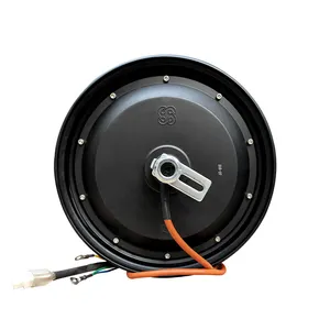 GT-S-002 10inch 48V/60V 800W 540rpm Best supplier 2024 new BLDC hub motor for electric scooter motorcycle