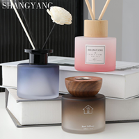 Diffuseur d'huiles essentielles en verre 120 ml pour aromathérapie, avec bâtonnets en rotin