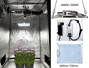 300x300x200 grow tent hydroponic large grow box tent Mushroom big loft grow box For Sale