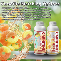 L-Carnitine Nutrition Liquide 3000 mg Carnitine Liquide Vitamine Ingrédient Actif Deux Saveurs