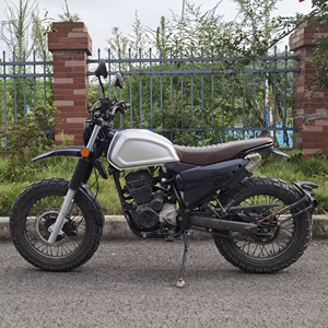 มอเตอร์ไซค์คาเฟ่เรเซอร์ เดสเสิร์ทสเลด 250 ซีซี 200 ซีซี - Product Image 4