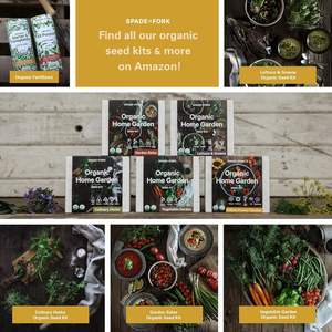 Kit USDA Organic 23pc pour jardin intérieur Fleurs comestibles sans OGM-Pots de tournesol thaïlandais au <span class=keywords><strong>basilic</strong></span> illustrés pour utilisation au sol - Product Image 4