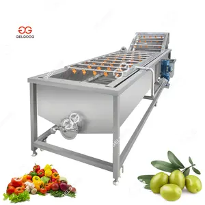 Máquina automática de limpeza de azeitonas com bolhas de ar Gelgoog, fornecedor de máquinas de lavar frutas e vegetais