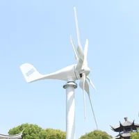 Nouvelle Éolienne Développée 1000W 12V 24V 48V Générateur avec 6 Pales et Contrôleur PWM Gratuit pour Usage Domestique