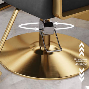 Modern yeni Ro kuaför koltuğu taşınabilir çok fonksiyonlu güzellik faydaları paslanmaz çelik kolçaklar ayarlanabilir Footrest <span class=keywords><strong>Salon</strong></span> - Product Image 5