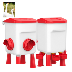 Équipement d'élevage avicole commercial, distributeur automatique d'eau et de nourriture avec système de gravité - Product Image 1