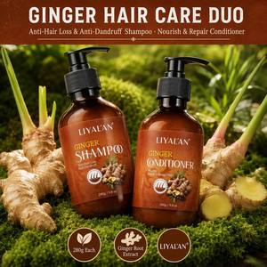 Set de Champú y Acondicionador de Jengibre, Anticaída, Anticaspa, Nutre y Repara el Cabello Dañado, Dúo para el Cuidado del Cabello, Extracto Natural, 280g, Vegano, OEM - Product Image 1