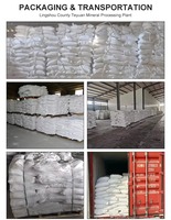 Bubuk Seng Oksida 99,5% Min Putih ZnO untuk Pelapis Cat Plastik Karet Aditif Pigmen