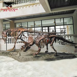 <span class=keywords><strong>Squelette</strong></span> fossile <span class=keywords><strong>de</strong></span> <span class=keywords><strong>dinosaure</strong></span> d'exposition <span class=keywords><strong>de</strong></span> musée <span class=keywords><strong>de</strong></span> taille réelle à vendre - Product Image 2