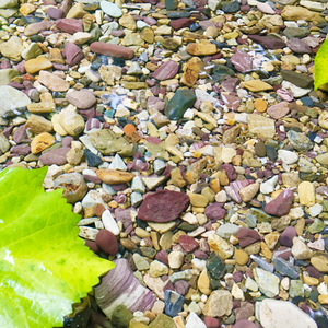 <span class=keywords><strong>Arena</strong></span> Natural para Acuarios <span class=keywords><strong>y</strong></span> Decoración de Paisajes con Piedras Pequeñas para Peceras - Product Image 4