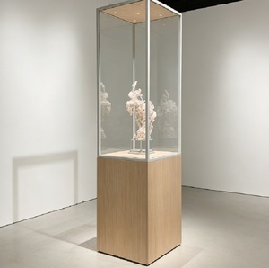 Vitrine <span class=keywords><strong>d</strong></span>'exposition de musée <span class=keywords><strong>moderne</strong></span> sur mesure, cadre en bois massif, vitrines en verre avec éclairage LED pour exposition <span class=keywords><strong>d</strong></span>'<span class=keywords><strong>art</strong></span> - Product Image 3