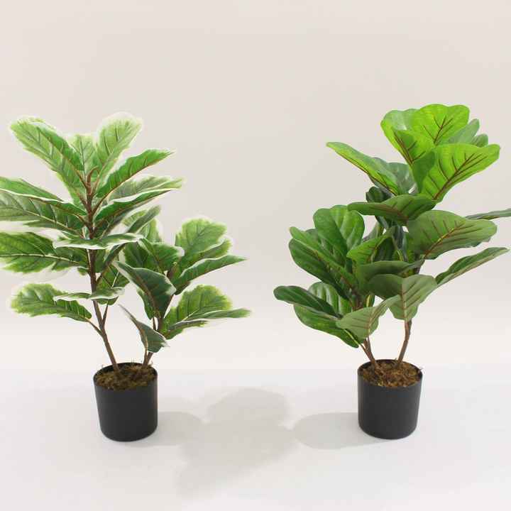 High Quality Artificial Potted Plants Large Leaves Ficus Pandurata