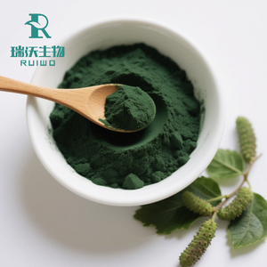 Экстракт листьев шелковицы, хлорофилл 99%, порошок хлорофиллина натрия и меди, собственная торговая марка (OEM) - Product Image 3