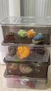 Boîte d'élevage pour reptiles transparente 19x12.5x7.5cm, enclos ventilé empilable pour lézards, serpents, geckos et jeunes animaux - Product Image 3