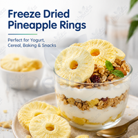 Gedroogde ananasplakjes in bulk, gedroogde fruitsnack