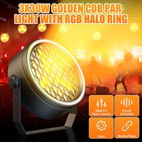 Projecteur PAR COB Super Lumineux PKnight 100W Or DMX512 à Activation Sonore et Contrôle Automatique IP65 en Alliage d'Aluminium, Éclairage de Scène DJ Dimmable