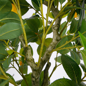 <span class=keywords><strong>Citronnier</strong></span> réaliste de 1.5m de hauteur en pot <span class=keywords><strong>pour</strong></span> café-restaurant arbres fruitiers réalistes décoratifs - Product Image 3