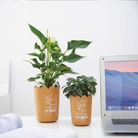 Pot de fleurs en PP en forme de pétale, minimaliste et moderne, pour bureau, plantes vertes, plateau créatif, vente en gros