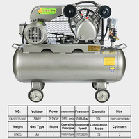 Compresseur d'air à double cylindre 0,8 Mpa Industriel 380v Compresseurs d'air à piston à gaz Utilisés pour la réparation automobile / Dentisterie / Industrie