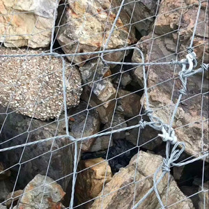 Tùy Chỉnh Spider Rockfall Bảo Vệ Lưới 3Mm Mạ Kẽm Dây Thép Lưới Hàn Uốn Cho Phức Tạp Địa hình An Toàn Nhà Máy - Product Image 1
