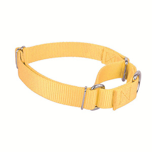 Kalung Anjing Taktis Ringan dari Nilon OEM, Dekorasi Paduan Logam, Tahan Lama, Dapat Disesuaikan, Nyaman untuk Anjing - Digunakan untuk Pelatihan - Product Image 6