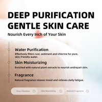 Pomme de douche aromatique et filtre