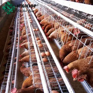 Poulailler de Type A à 4 niveaux, ferme de volaille, couche de batterie, Cage de poulet en indonésie avec ponte