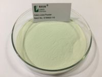 OEM ODM usine d'origine poudre de céleri poudre de jus de céleri pour les suppléments de boisson