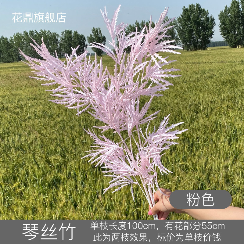 Qinsizhu rosa