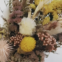 Hfloral Eucalyptus Coton Baby Coin Exotica Feuilles de Ruscus Herbe Mini Fleurs Séchées pour Mariage et Saint-Valentin