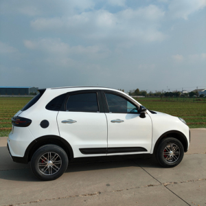 Bestseller: Mini Auto Elettrica 3500W Personalizzabile, Nuovo Design, Veicolo Elettrico a Quattro Posti per Anziani, Veicolo a Nuova Energia - Product Image 3