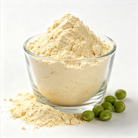 Complément Alimentaire Non-OGM Nutrition Végétalienne de Qualité Supérieure à Base de Plantes 25 Kg Isolat de Protéine de Pois Fermentée Biologique 80% en Gros