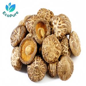 Organik Kurutulmuş <span class=keywords><strong>Shiitake</strong></span> Mantarı Tozu Doğal Mevsimlik <span class=keywords><strong>Shiitake</strong></span> Ekstresi Zengin Besin İçerikli - Product Image 2