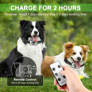 2-en-1 Entrenamiento de perros remoto y <span class=keywords><strong>Auto</strong></span> <span class=keywords><strong>Anti</strong></span> Ladridos <span class=keywords><strong>Collar</strong></span> Vibrador <span class=keywords><strong>Collar</strong></span> de entrenamiento de perros Sin golpes - Product Image 4