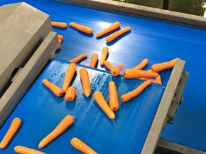 Dây chuyền sản xuất bánh mì, bánh quy bằng thép không gỉ 304 đạt tiêu chuẩn thực phẩm, tùy chỉnh - Product Image 4