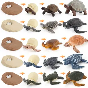 -뜨거운 판매 시뮬레이션 해양 동물 거북이 성장주기 모델 거북이 인생 단계 어린이인지