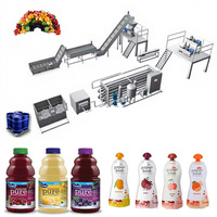 Turnkey-oplossing, fabrieksdirecte verkoop, roestvrijstalen multifunctionele drankenproductie- en bottellijn