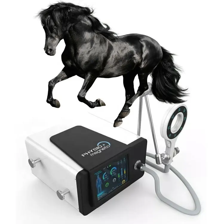 Atlar/hayvancılık/evcil hayvanlar için darbeli elektromanyetik alan PEMF manyeto terapi ekipmanları