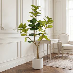 Ficus Lyrata Artificiale 180 cm Realistico in Vaso per Decorazioni Interne - Product Image 2