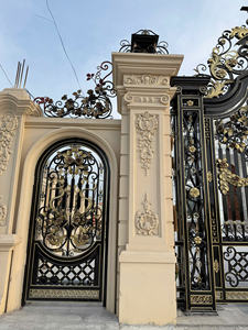 Elegante Puerta de Hierro Forjado de Estilo Francés con Acabado Multicolor y Servicio Técnico - Product Image 6